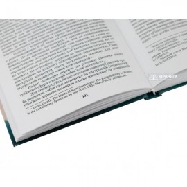 Концепція "Обов'язок захищати" і права людини