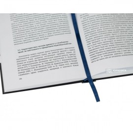 Теорія примусу в службовому праві Теорія примусу в службовому праві