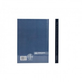 Становлення та розвиток інституту покарання в кримінальному праві УСРР (УРСР) (1919-1991 рр.)