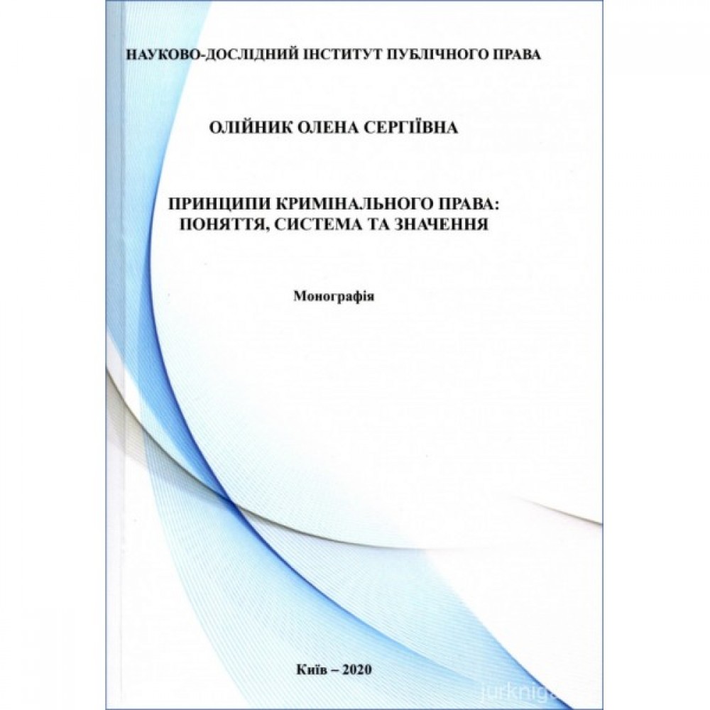 Принципи кримінального права: поняття, система та значення