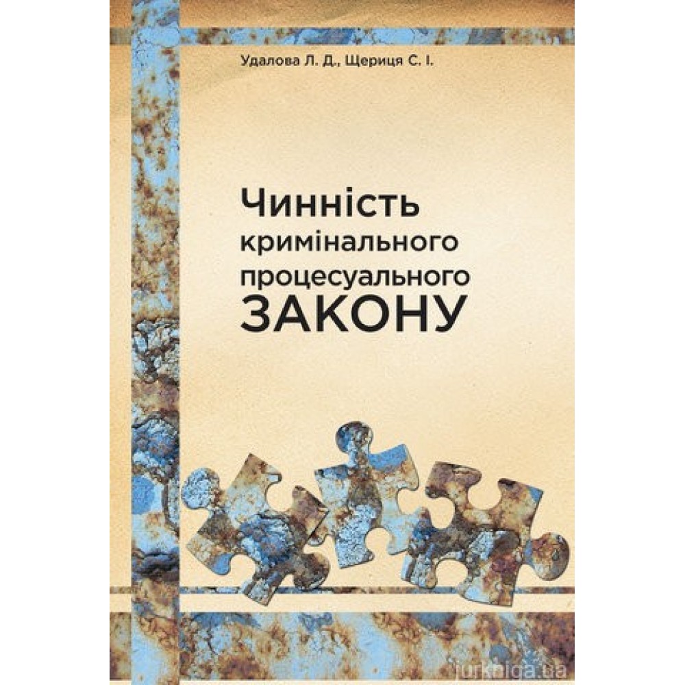 Чинність кримінального процесуального закону
