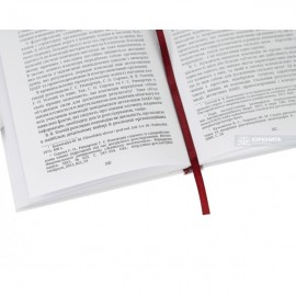 Детектив національного антикорупційного бюро України як суб'єкт кримінальних процесуальних правовідносин