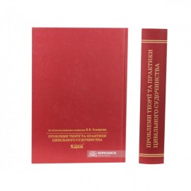 Проблеми теорії та практики цивільного судочинства